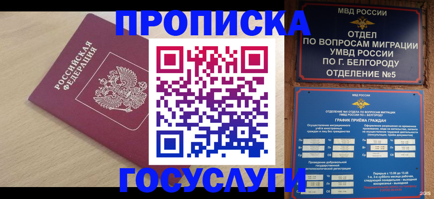 прописка законно в Светлограде